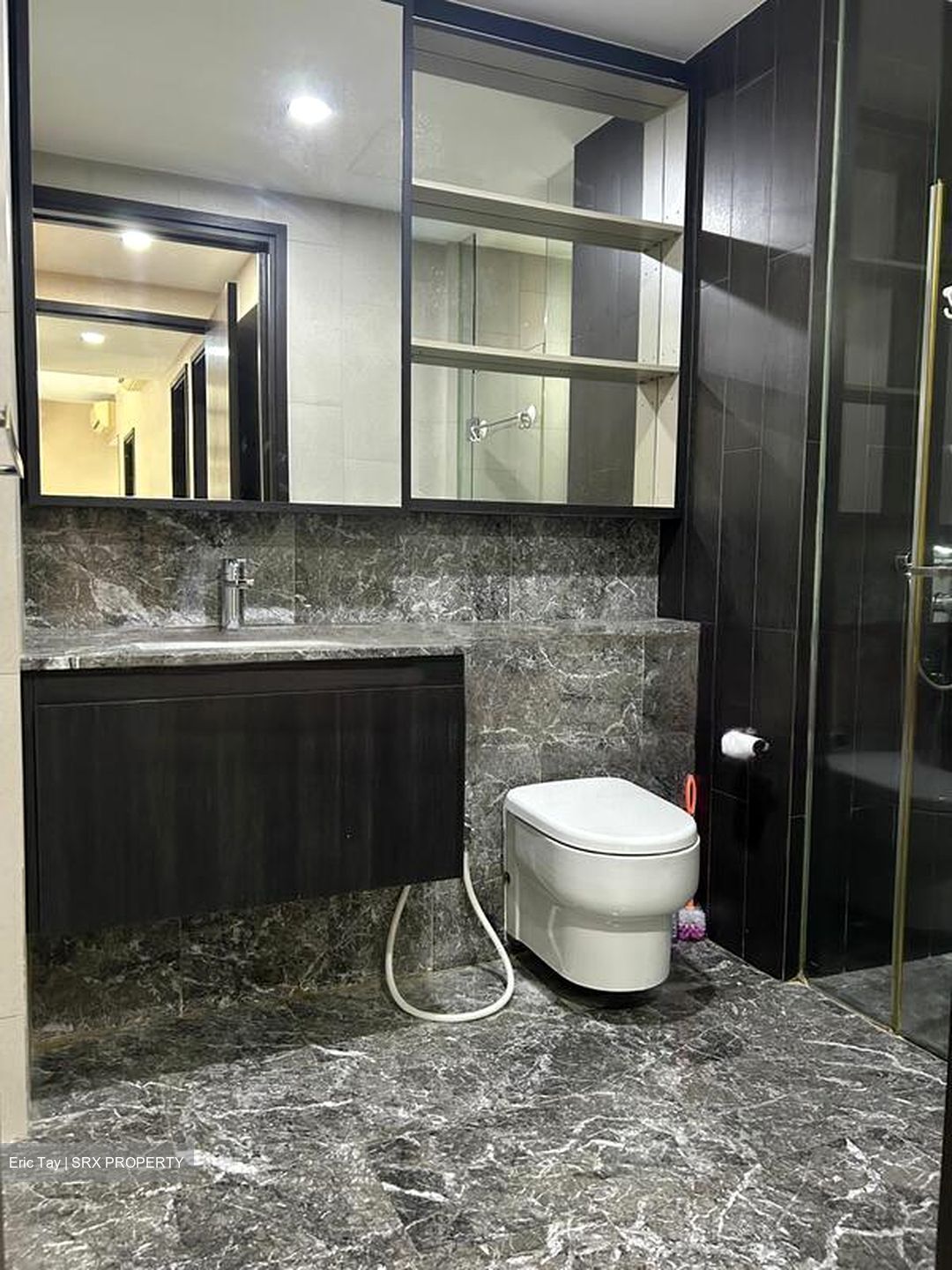 The Inflora (D17), Condominium #522647561